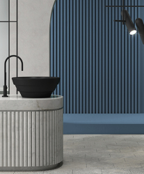 فرهنگ اصلاحات سرویس بهداشتی