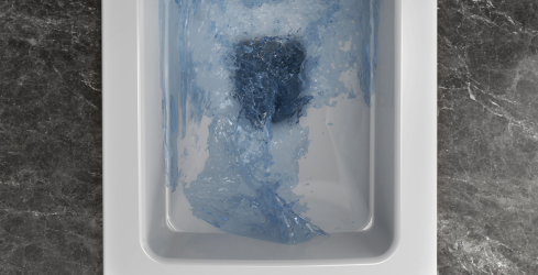 چه نکاتی در انتخاب توالت باید مد نظر گرفته بشود؟